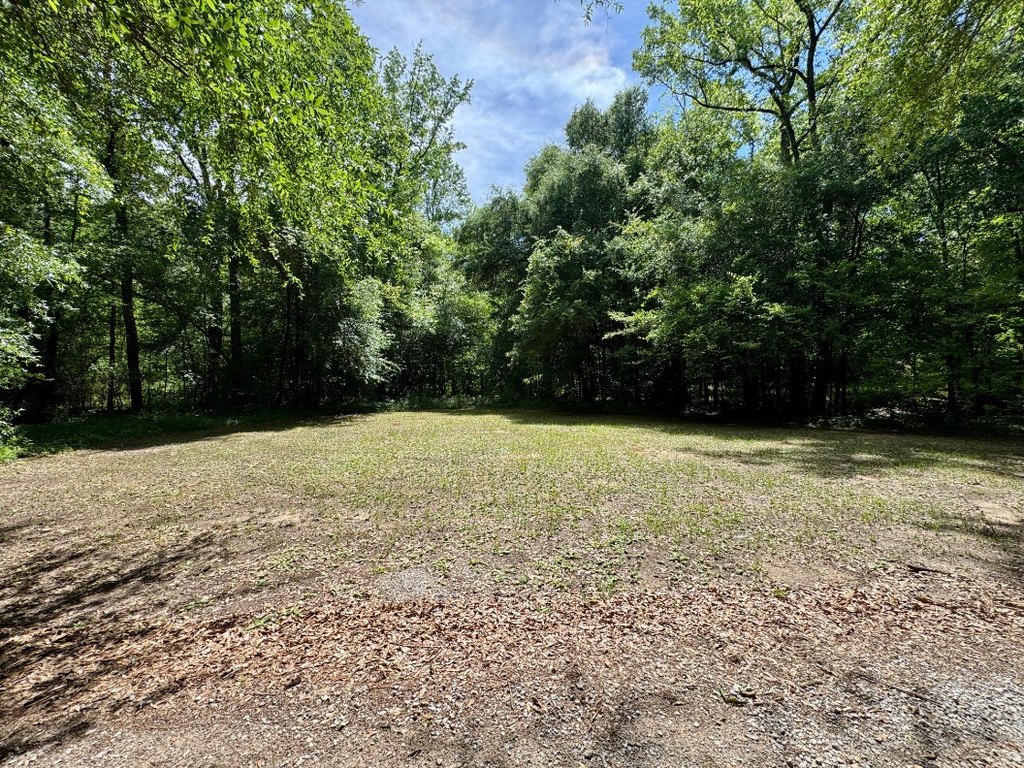 Picture 19