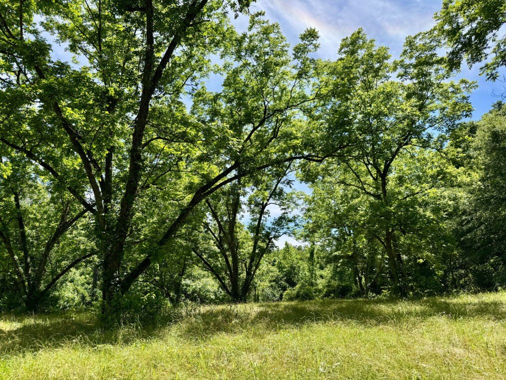 Picture 26