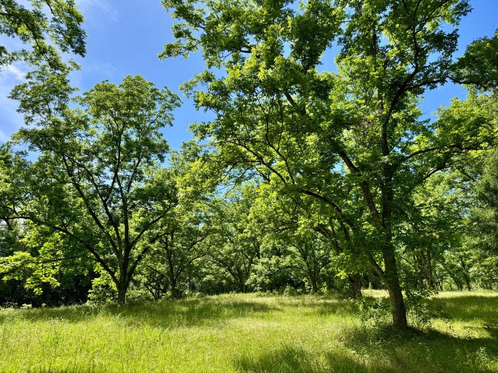Picture 22