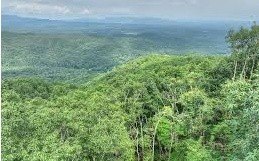 East Ellijay Vacant Lot