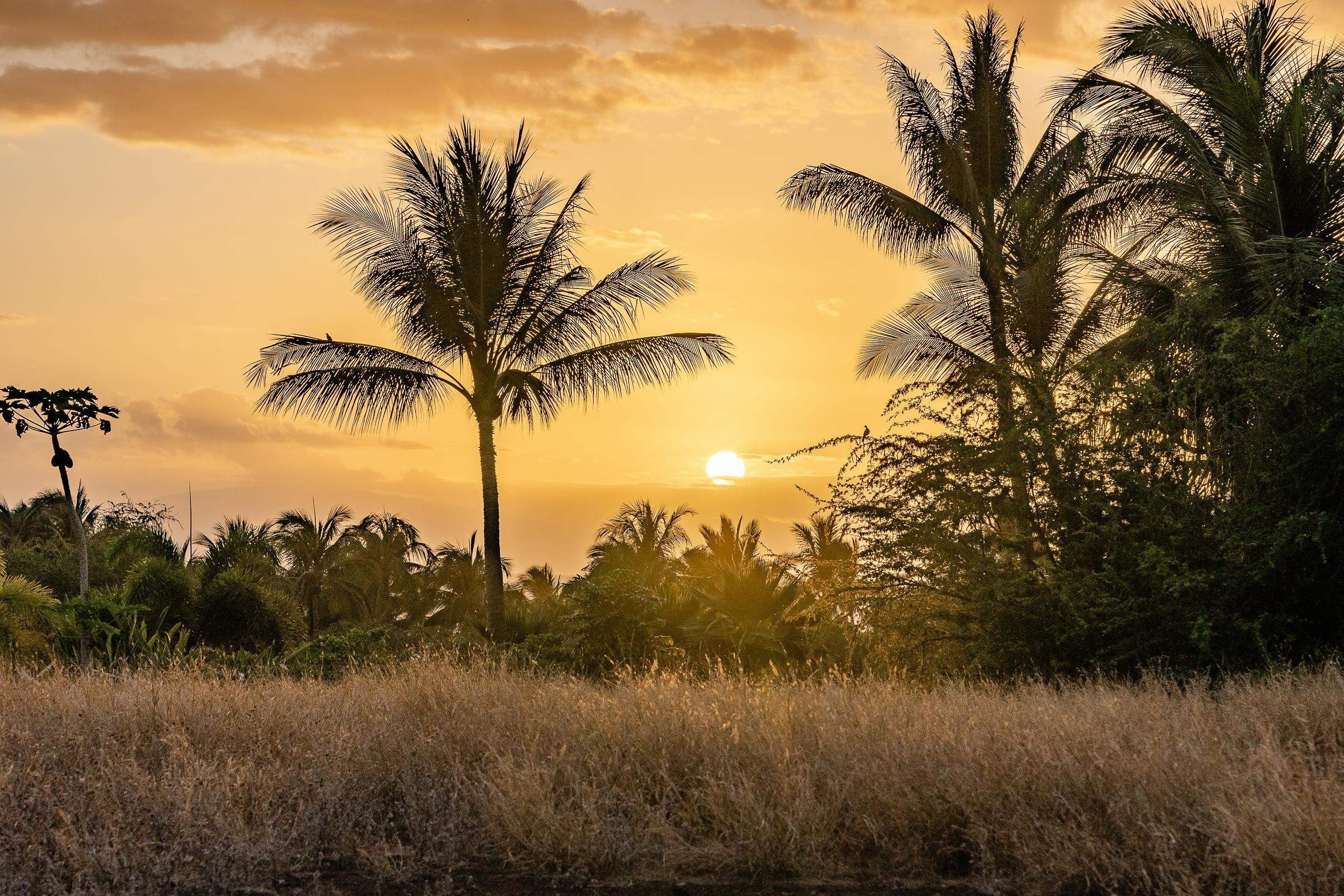 Kihei Vacant Land Opportunity