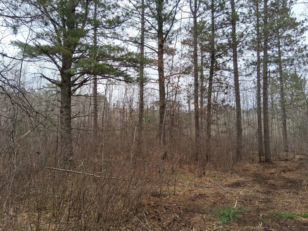 Picture 14