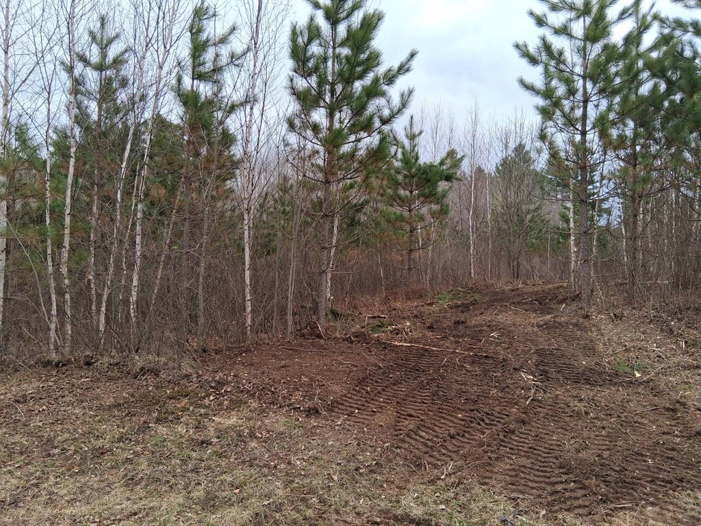 Picture 5