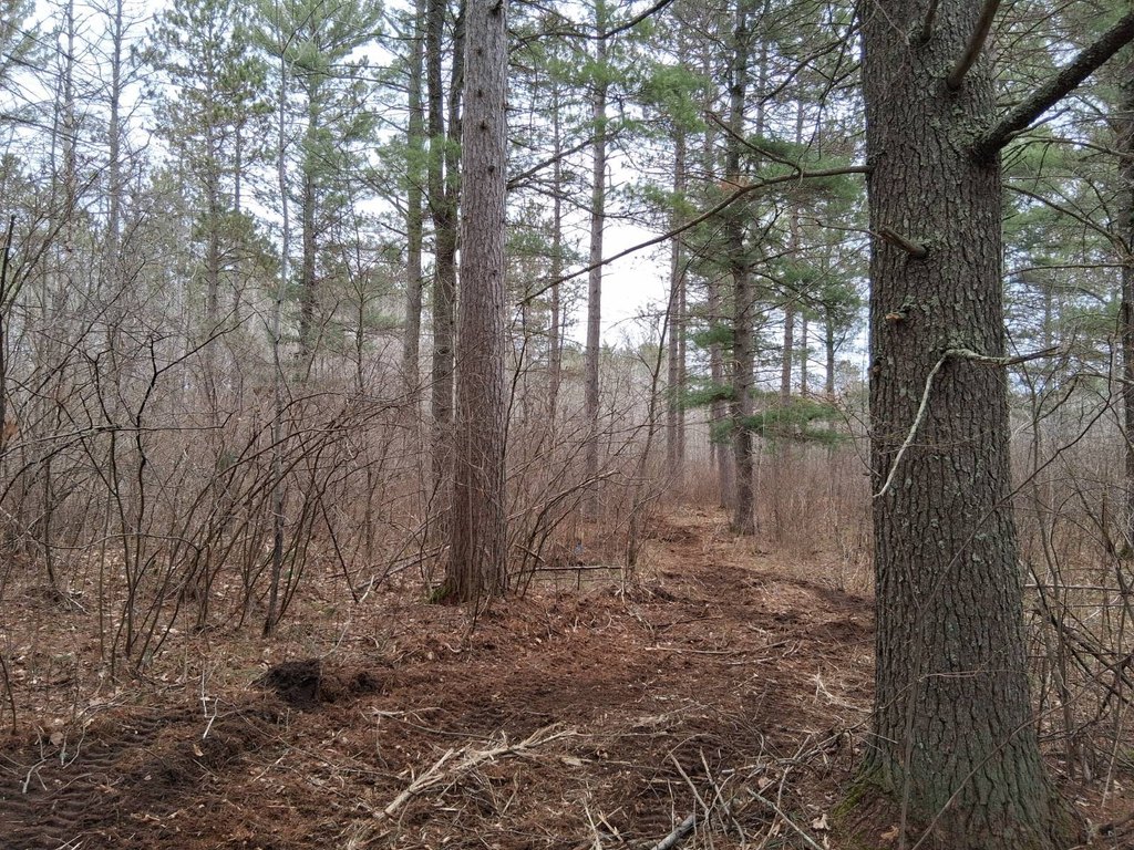 Picture 12