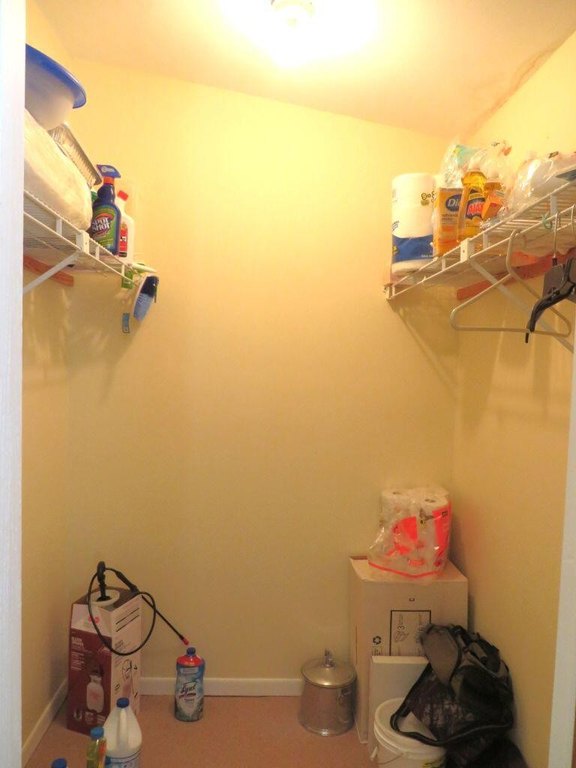 Picture 46