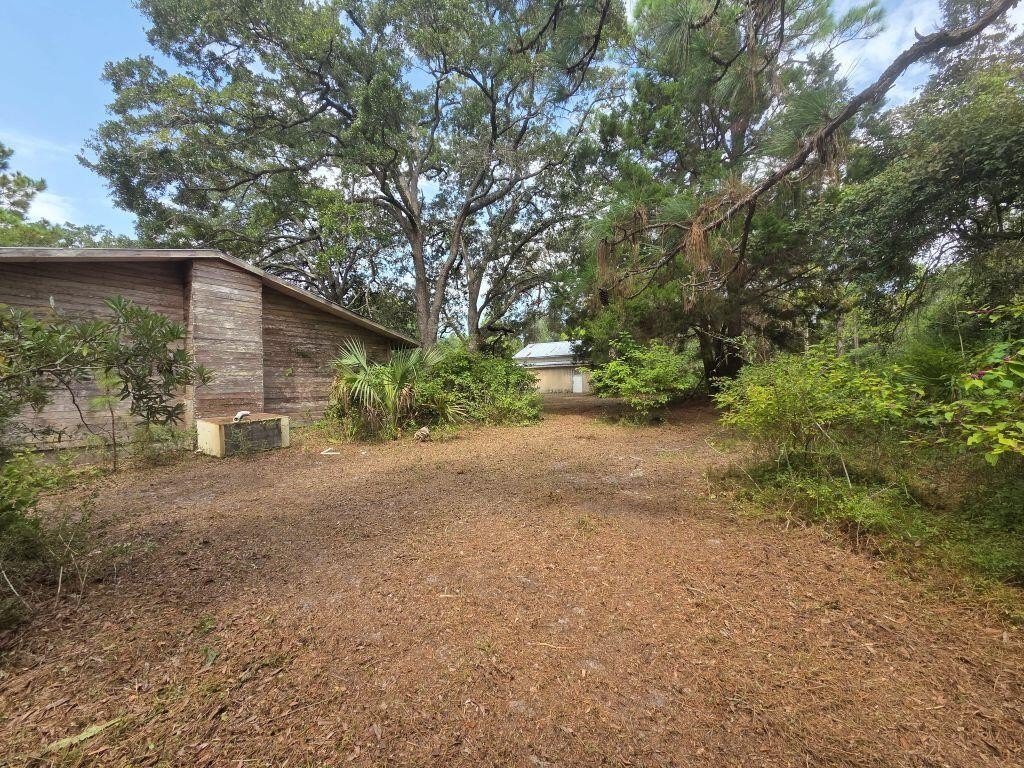 Picture 25