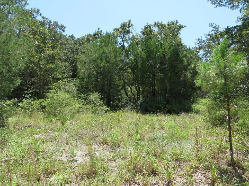 Picture 9