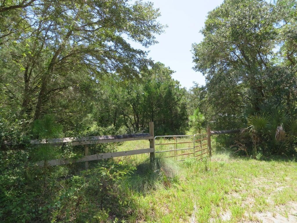Picture 4