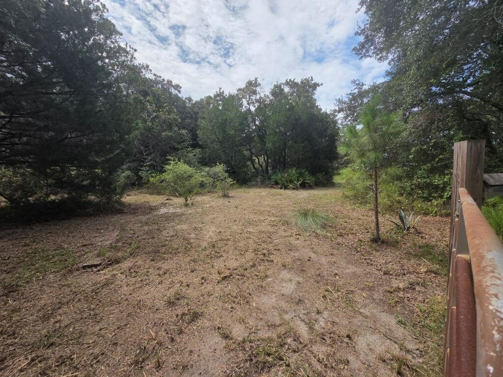 Picture 6