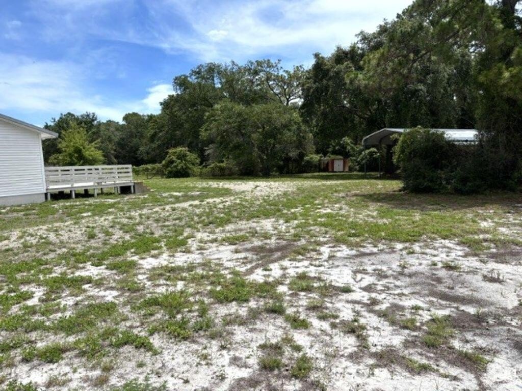 Picture 39
