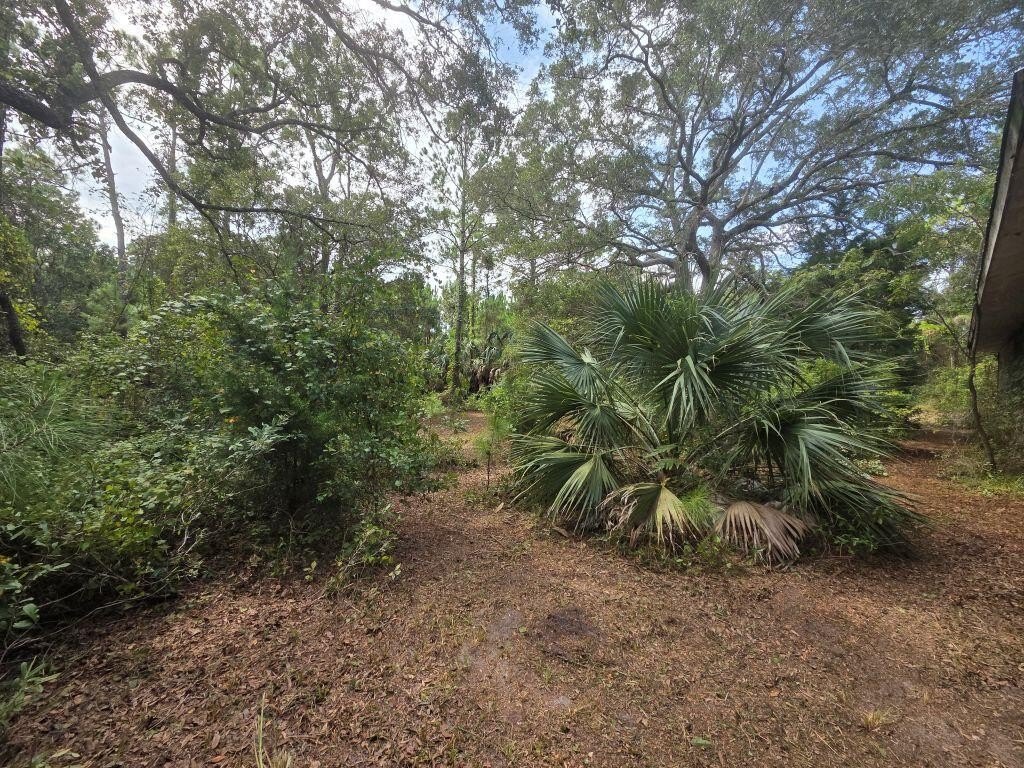 Picture 31