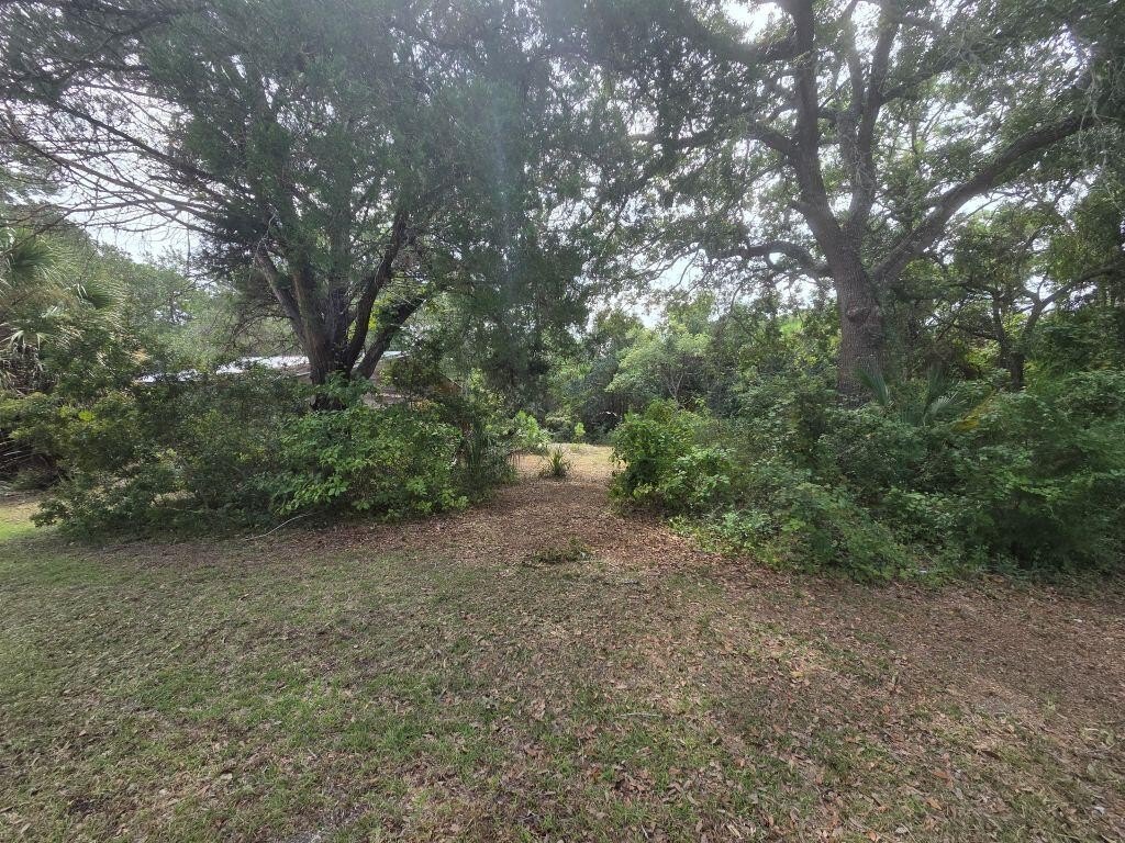 Picture 28