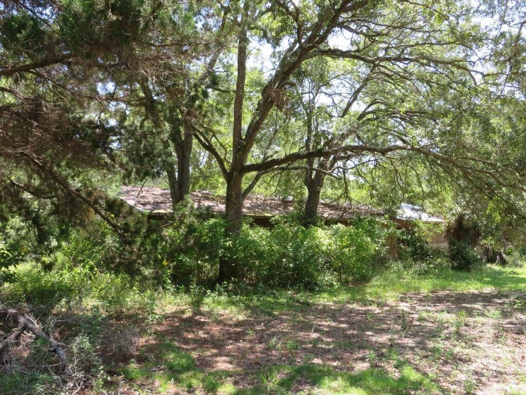 Picture 21