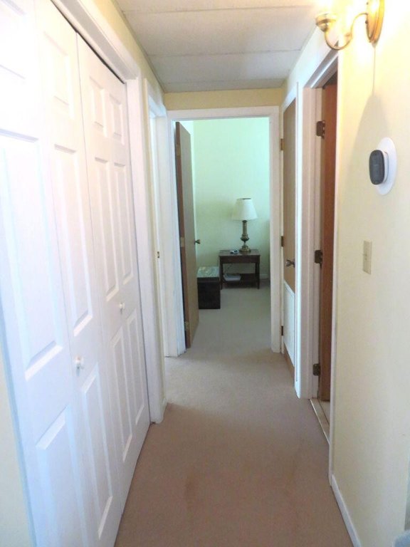 Picture 52
