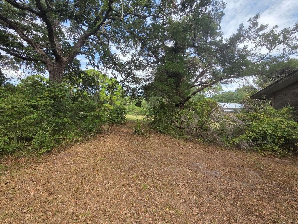 Picture 30