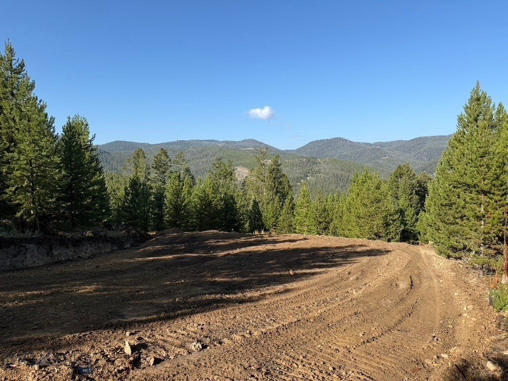 Picture 7
