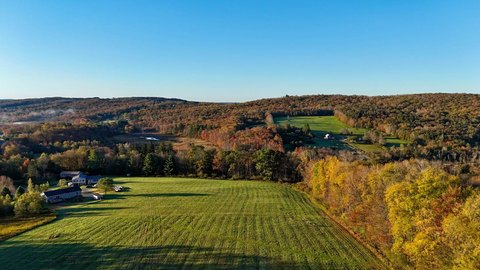 43 Acres of Vacant Land