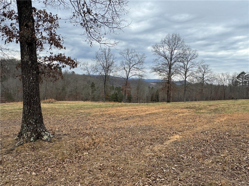 Picture 48