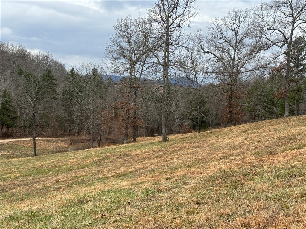 Picture 15