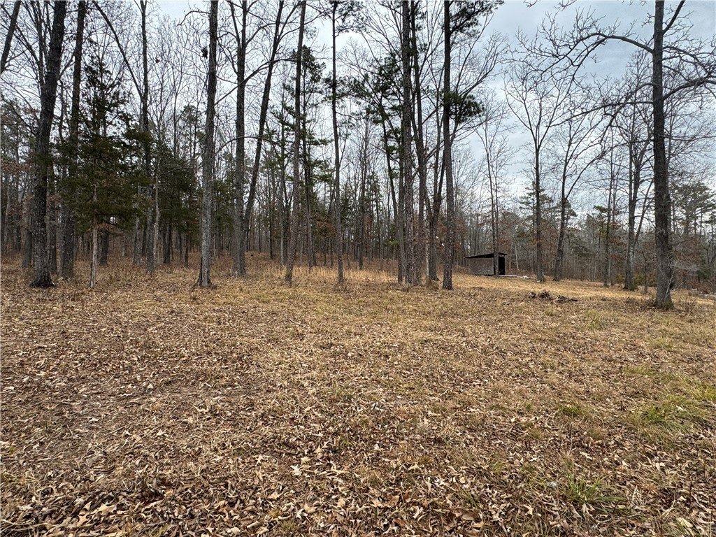 Picture 41