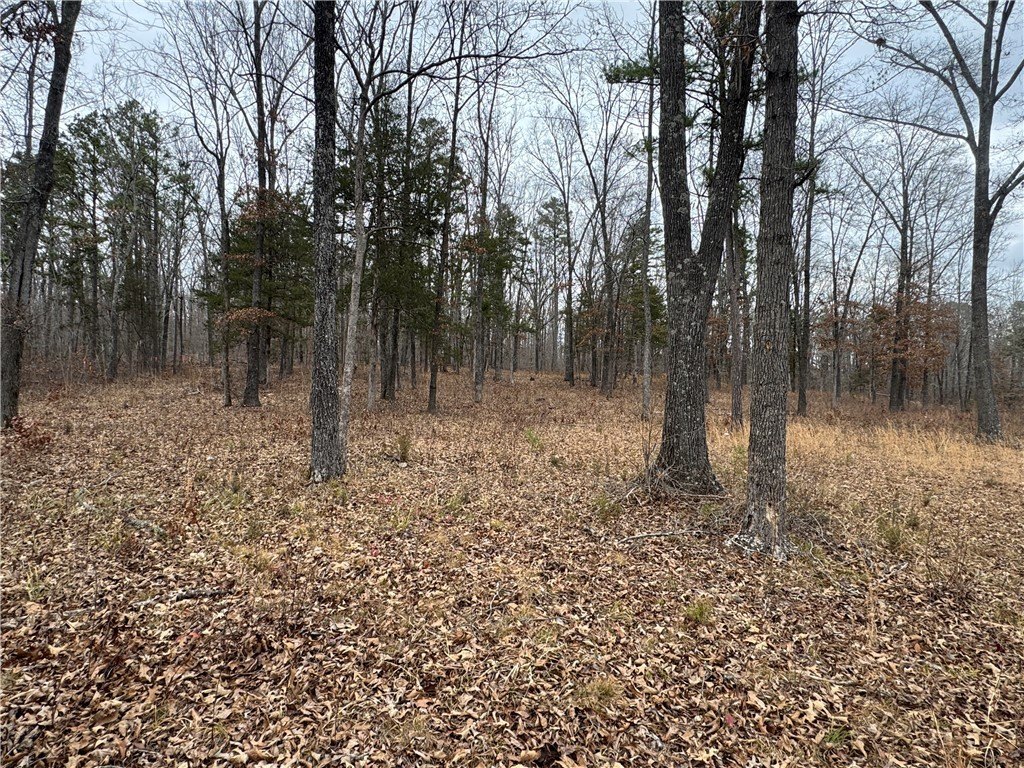 Picture 42