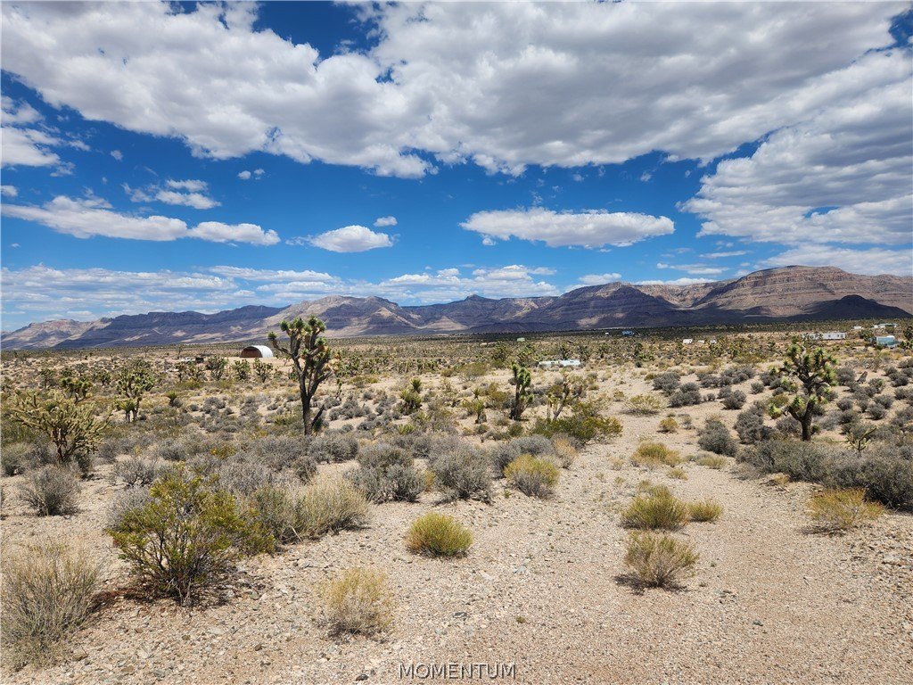 Picture 21