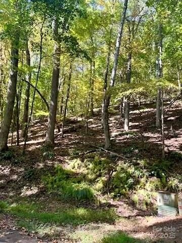 Mills River Land Opportunity