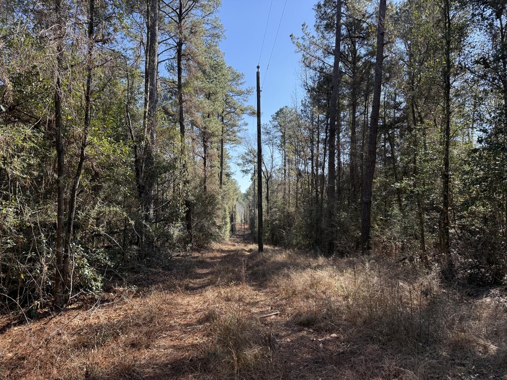 Picture 21