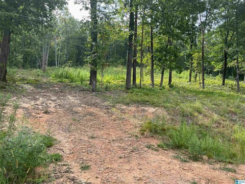 LAND - ODENVILLE, AL