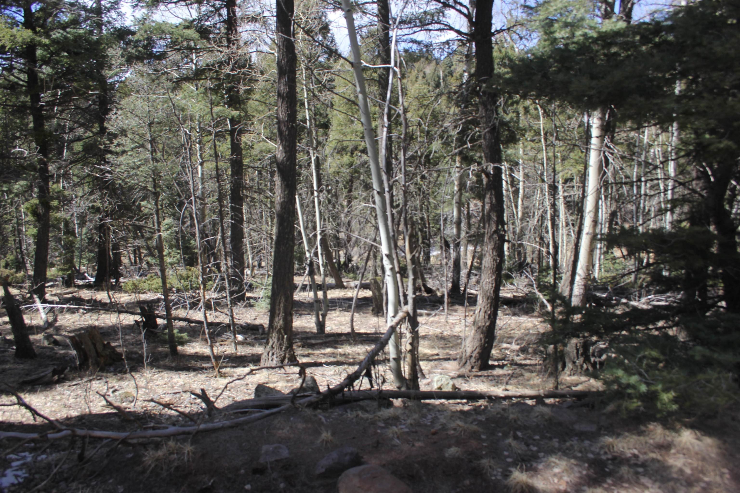 Land in Angel Fire, NM