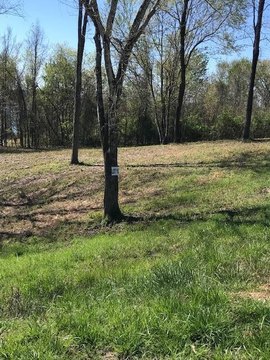 LAND - Spring City, TN