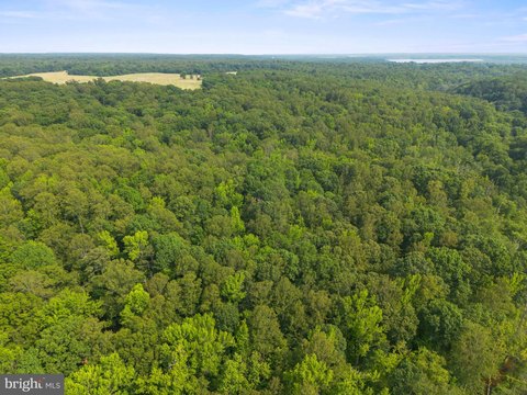 Buildable Wooded Homesite in King George