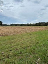 Cleared Land Parcel in Williamsburg