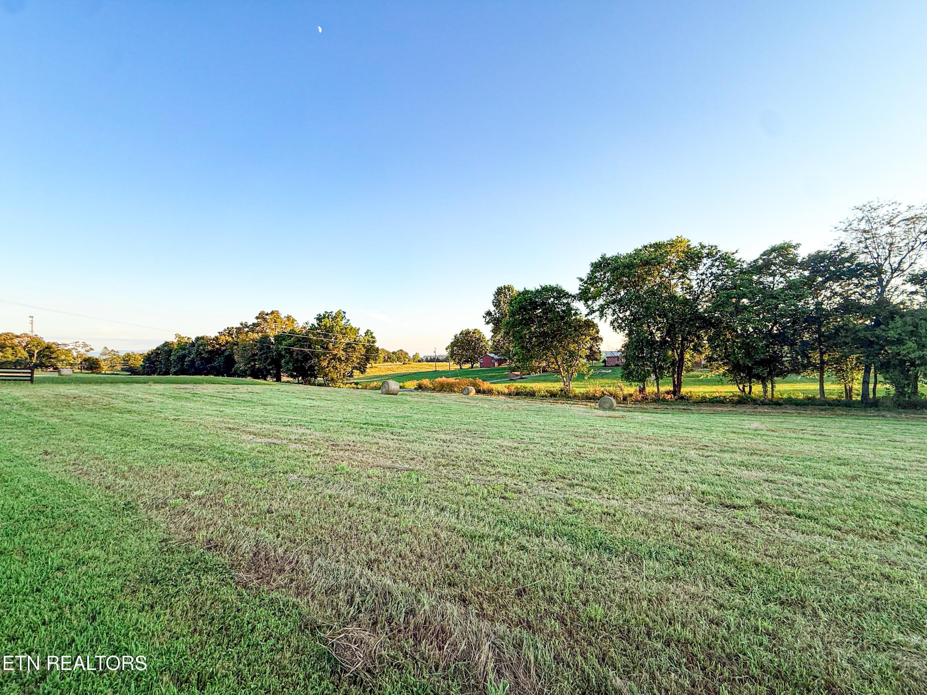 Residential Land in Talbott, TN