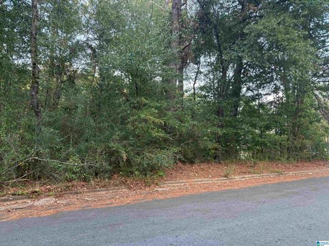 LAND - SYLACAUGA, AL