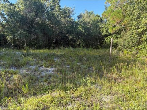 LAND - Lake Placid, FL