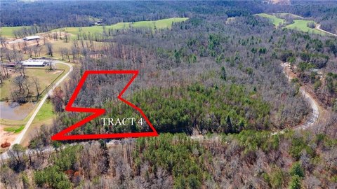 Undeveloped Land in Dawsonville, GA