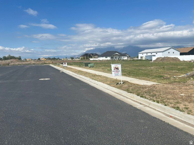 Picture 5