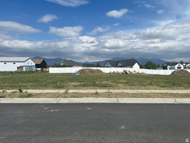 Picture 3