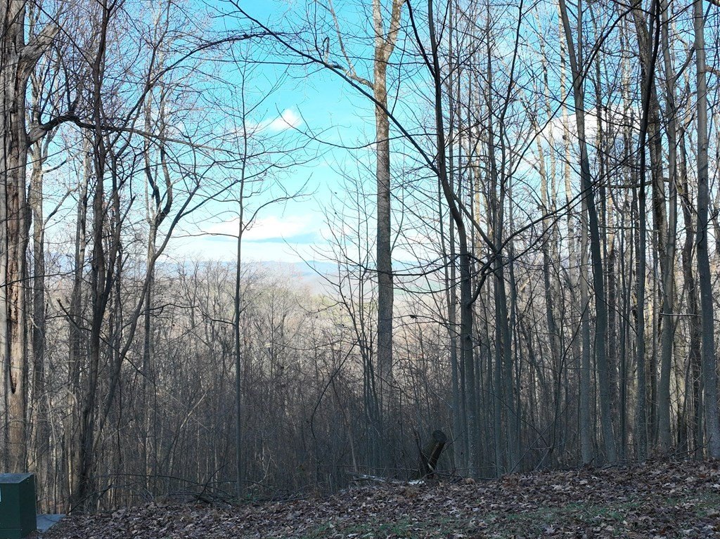 Picture 2