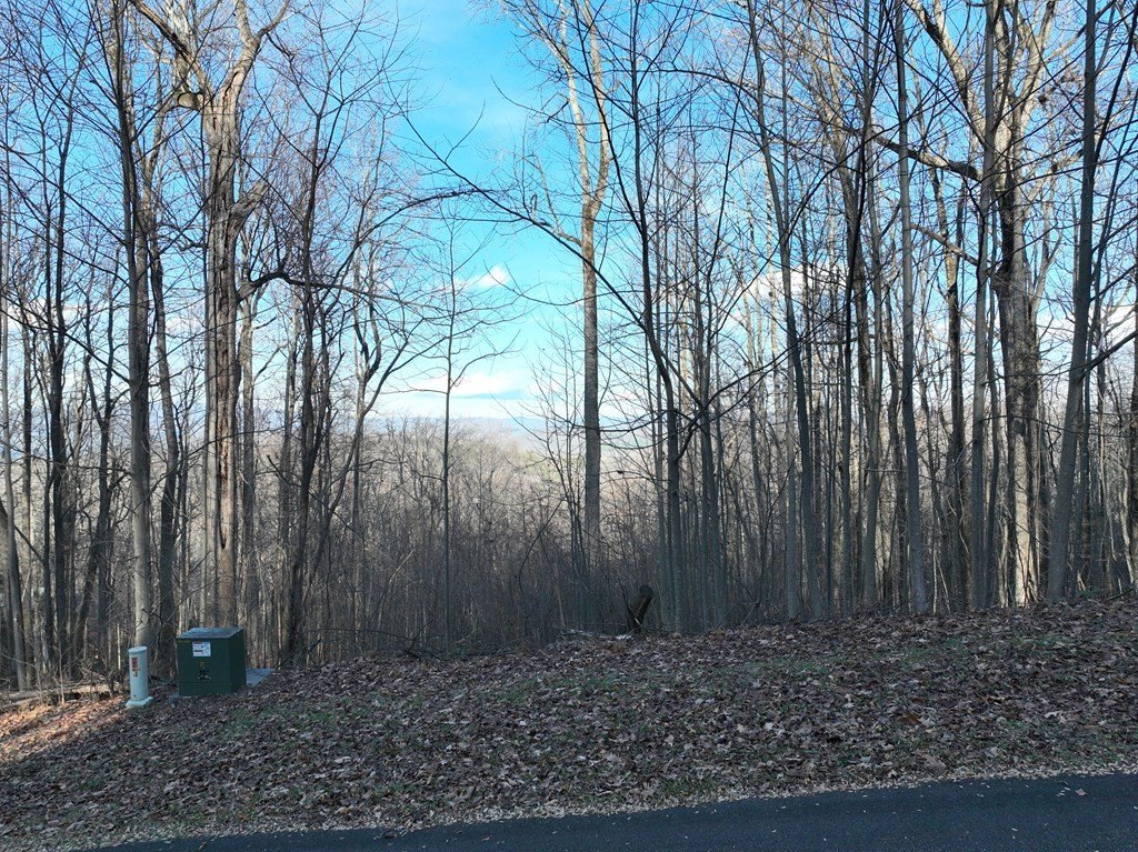 Picture 17