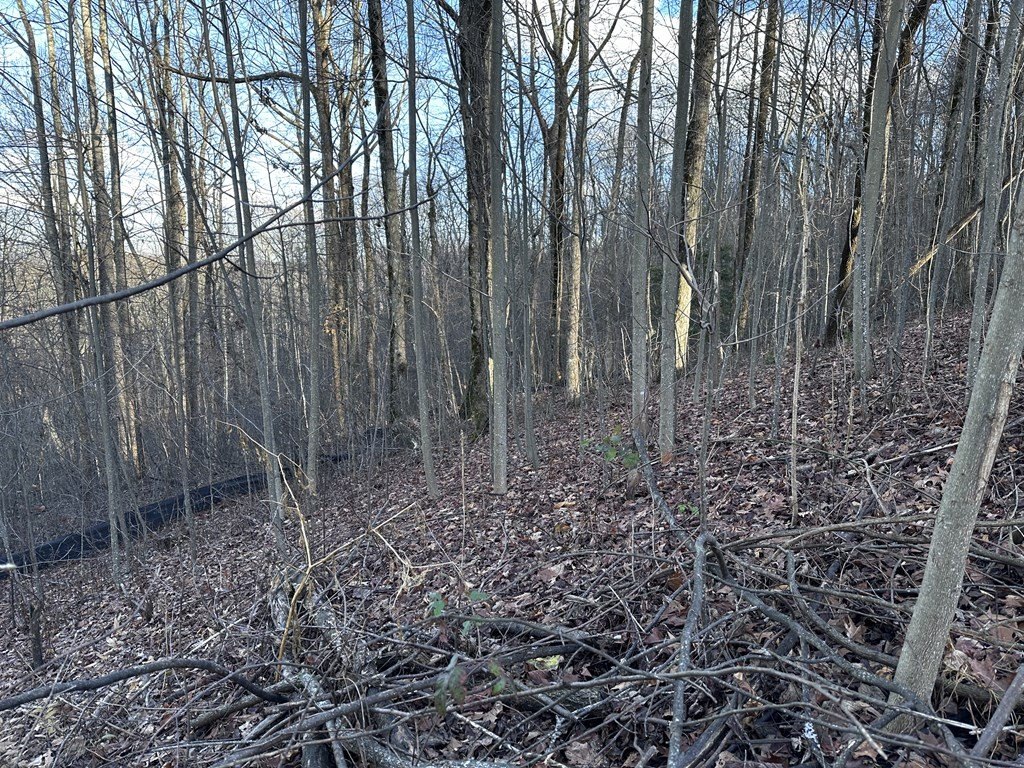 Picture 21