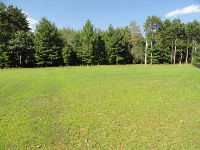 Picture 17