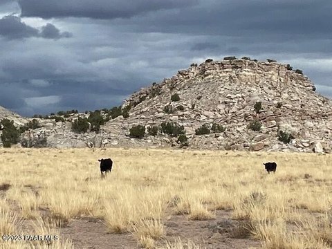 40 Acres in Woodland Valley