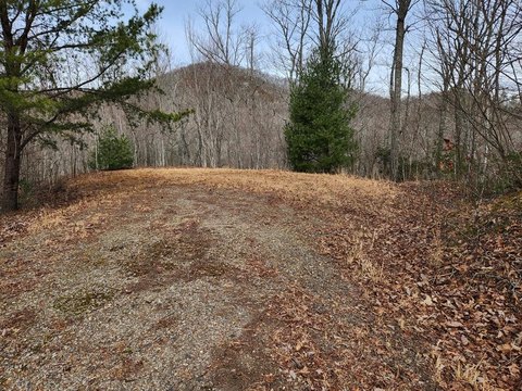 Mountain View Lot in Franklin