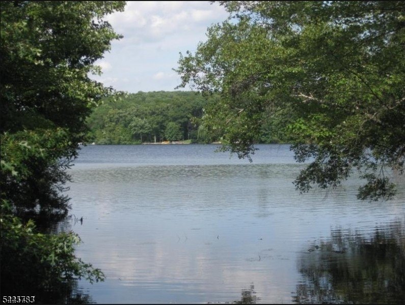 Picture 8