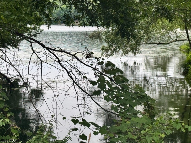 Picture 7