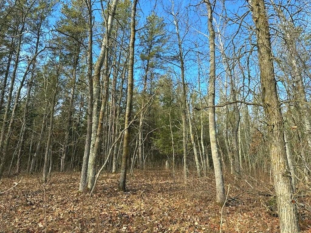 Picture 8