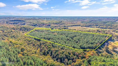 Wooded Land With Trails
