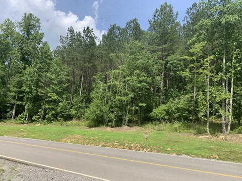 Residential Land in Jasper Highlands